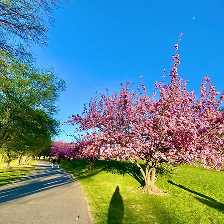 Zuhause Auf Zeit-gemuetliche Gaestezimmer בון