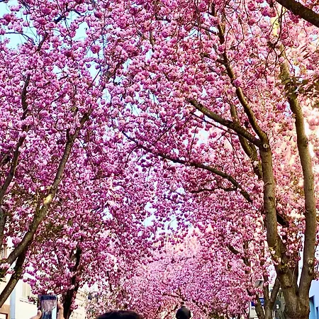 Zuhause Auf Zeit-gemuetliche Gaestezimmer ホームステイ *