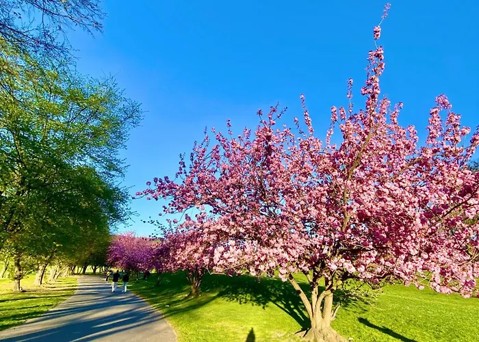 Zuhause Auf Zeit-gemuetliche Gaestezimmer 본