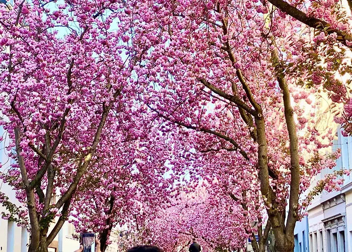 Zuhause Auf Zeit-gemuetliche Gaestezimmer Quarto em Acomodações Particulares *